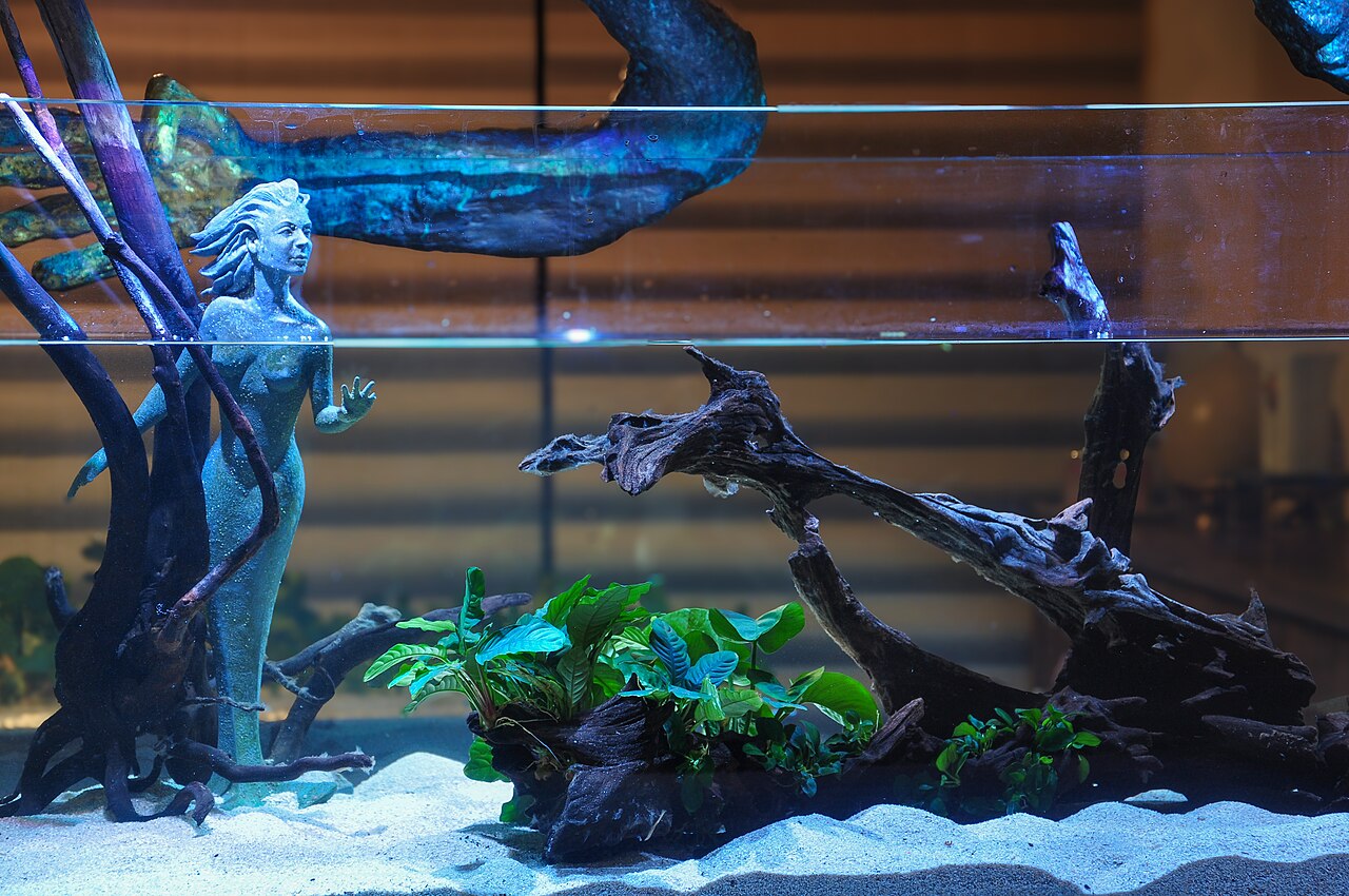 Photo of Custom Setups